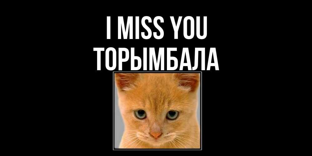 Greetings card с именем, ТОРЫМБАЛА I miss you открытки рыжий котенок скучает по тебе Greetings with text for free download 