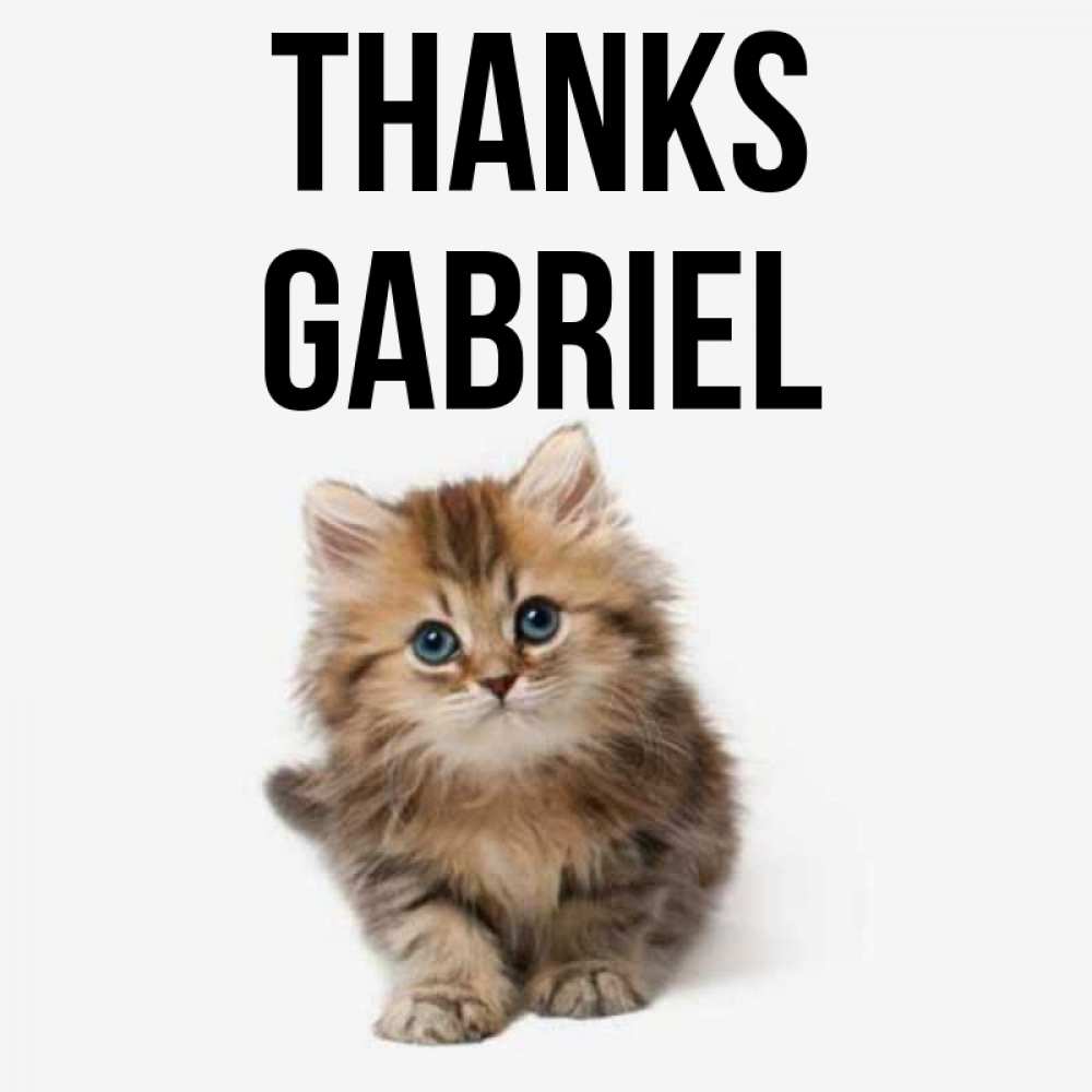 Greetings card с именем, Gabriel Thanks пушистый котик Greetings with text for free download 