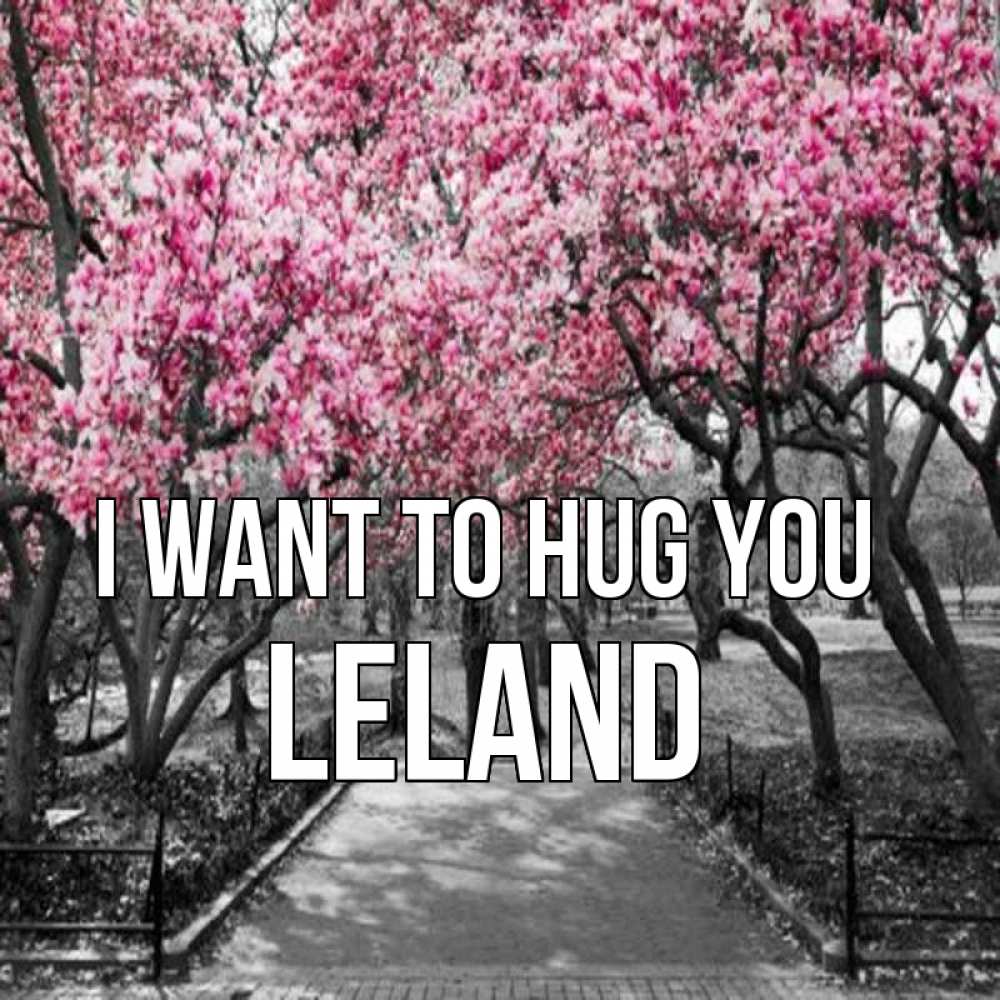 Greetings card с именем, Leland I want to hug you обработанное фото Greetings with text for free download 