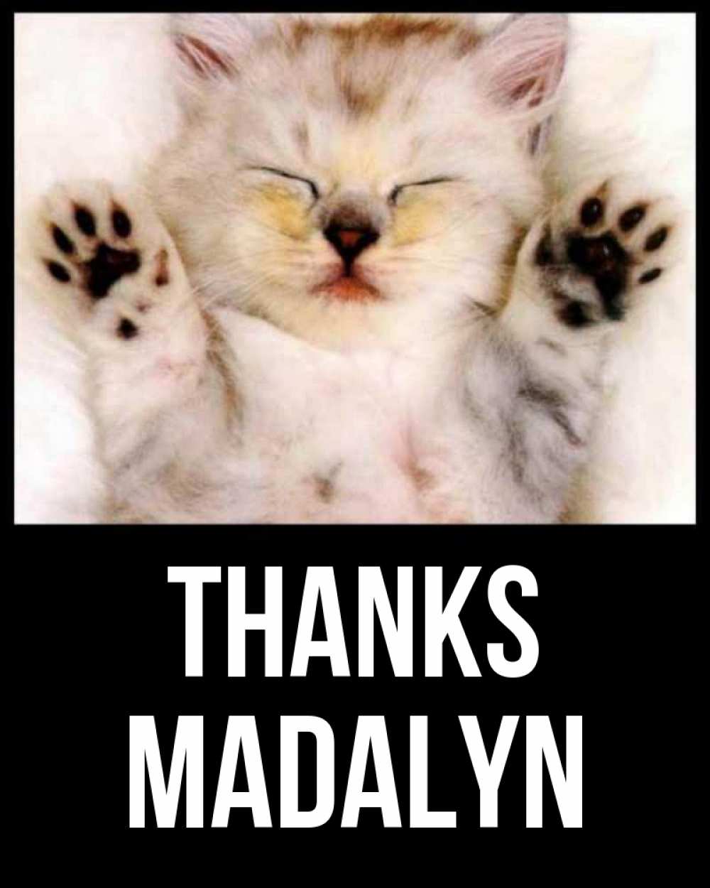 Greetings card с именем, Madalyn Thanks маленький котенок Greetings with text for free download 