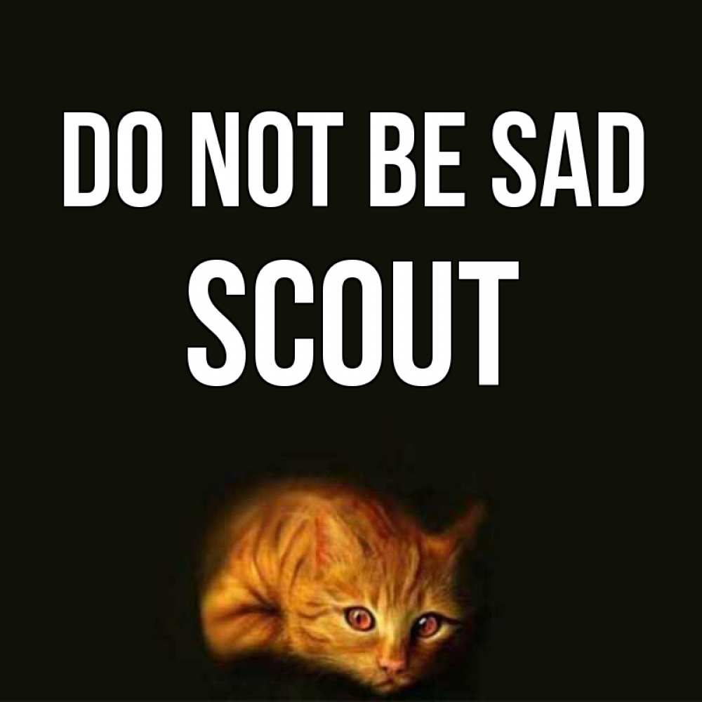 Greetings card с именем, Scout Do not be sad лежащий кот в темноте Greetings with text for free download 