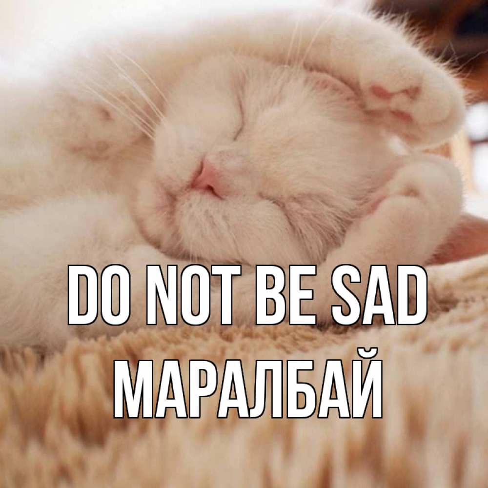 Greetings card с именем, МАРАЛБАЙ Do not be sad белый кот Greetings with text for free download 