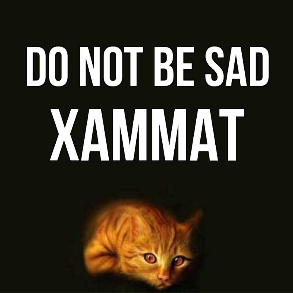 Greetings card с именем, ХАММАТ Do not be sad лежащий кот в темноте Greetings with text for free download 