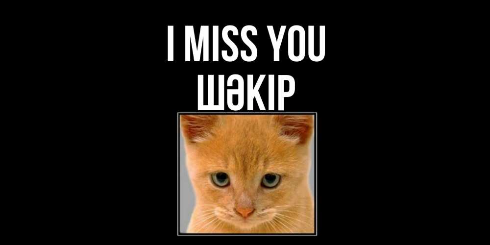 Greetings card с именем, ШӘКІР I miss you открытки рыжий котенок скучает по тебе Greetings with text for free download 