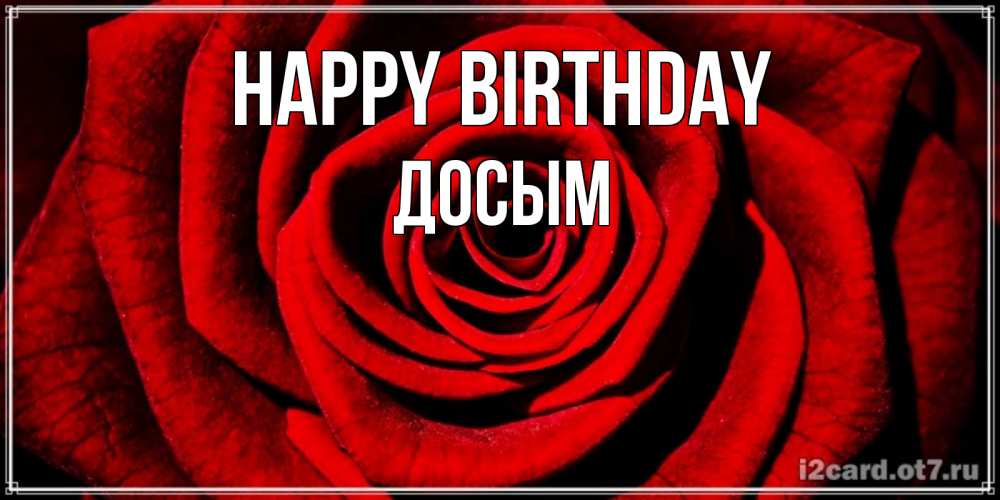 Greetings card с именем, Досым Happy Birthday алая роза Greetings with text for free download 