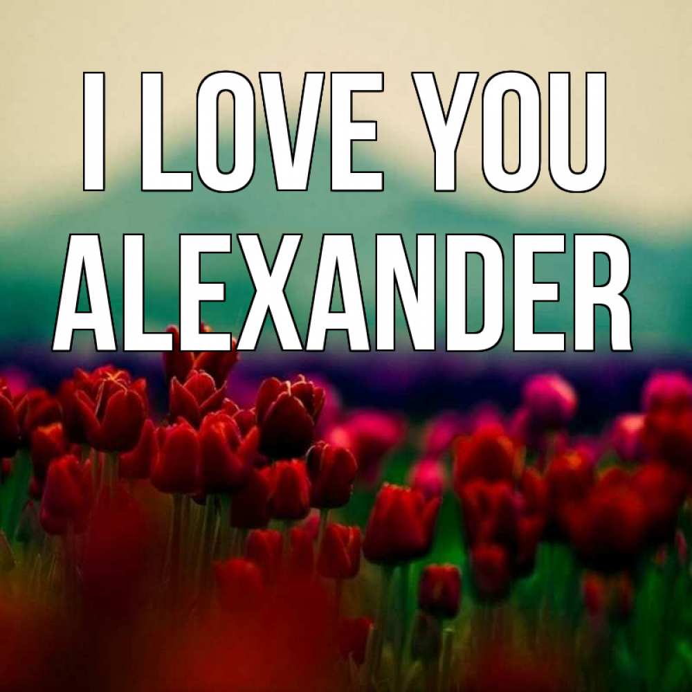 Greetings card с именем, Alexander I love you тюльпаны 4 Greetings with text for free download 