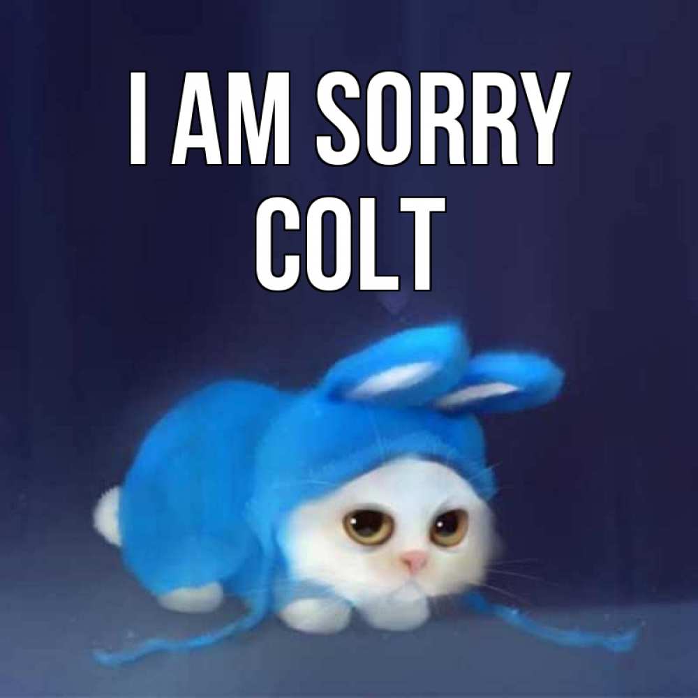 Greetings card с именем, Colt I am sorry невинный котозай просит прощения Greetings with text for free download 