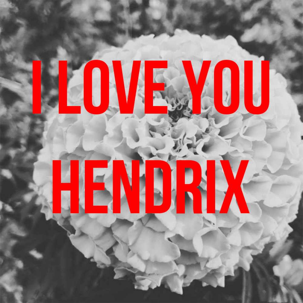Greetings card с именем, Hendrix I love you подпись Greetings with text for free download 