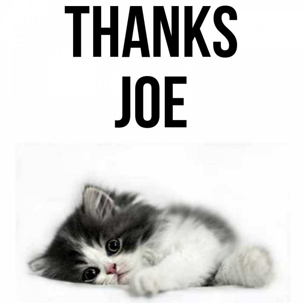 Greetings card с именем, Joe Thanks черный и белый кот Greetings with text for free download 
