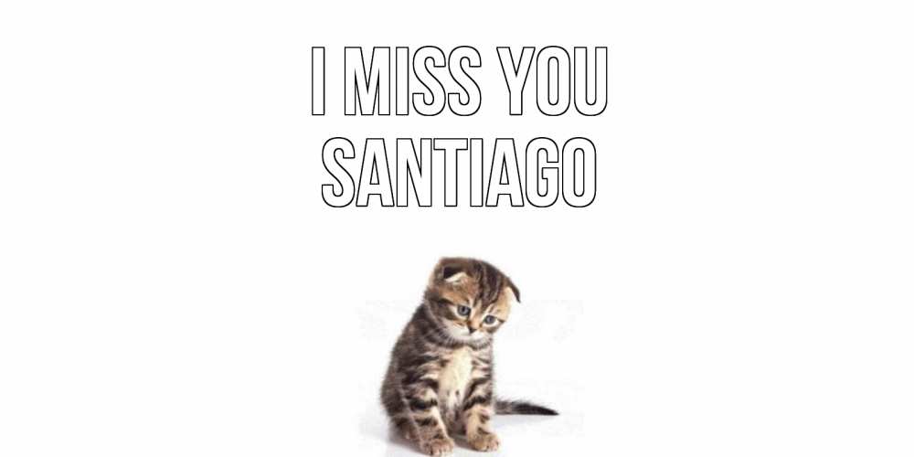Greetings card с именем, Santiago I miss you кот Greetings with text for free download 