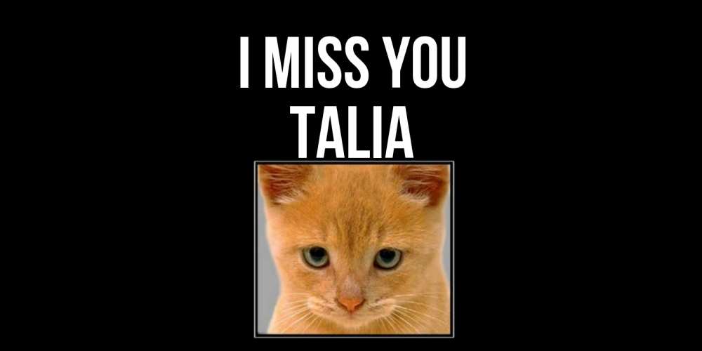 Greetings card с именем, Talia I miss you открытки рыжий котенок скучает по тебе Greetings with text for free download 