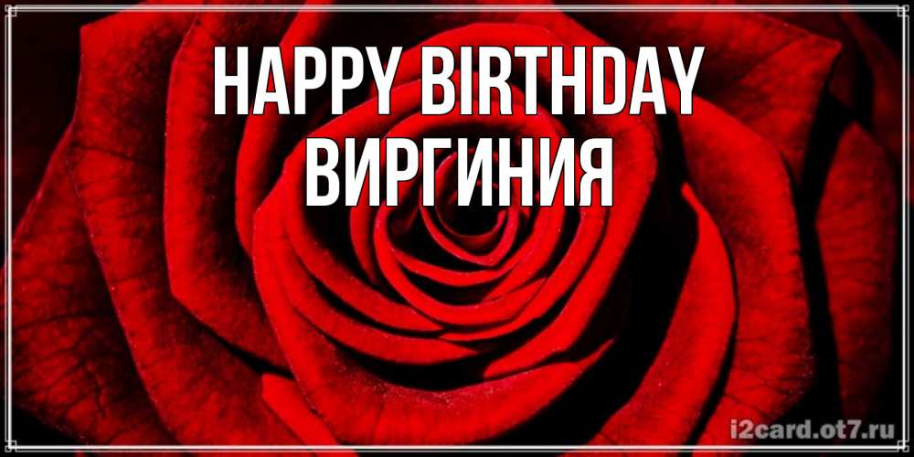 Greetings card с именем, Виргиния Happy Birthday алая роза Greetings with text for free download 