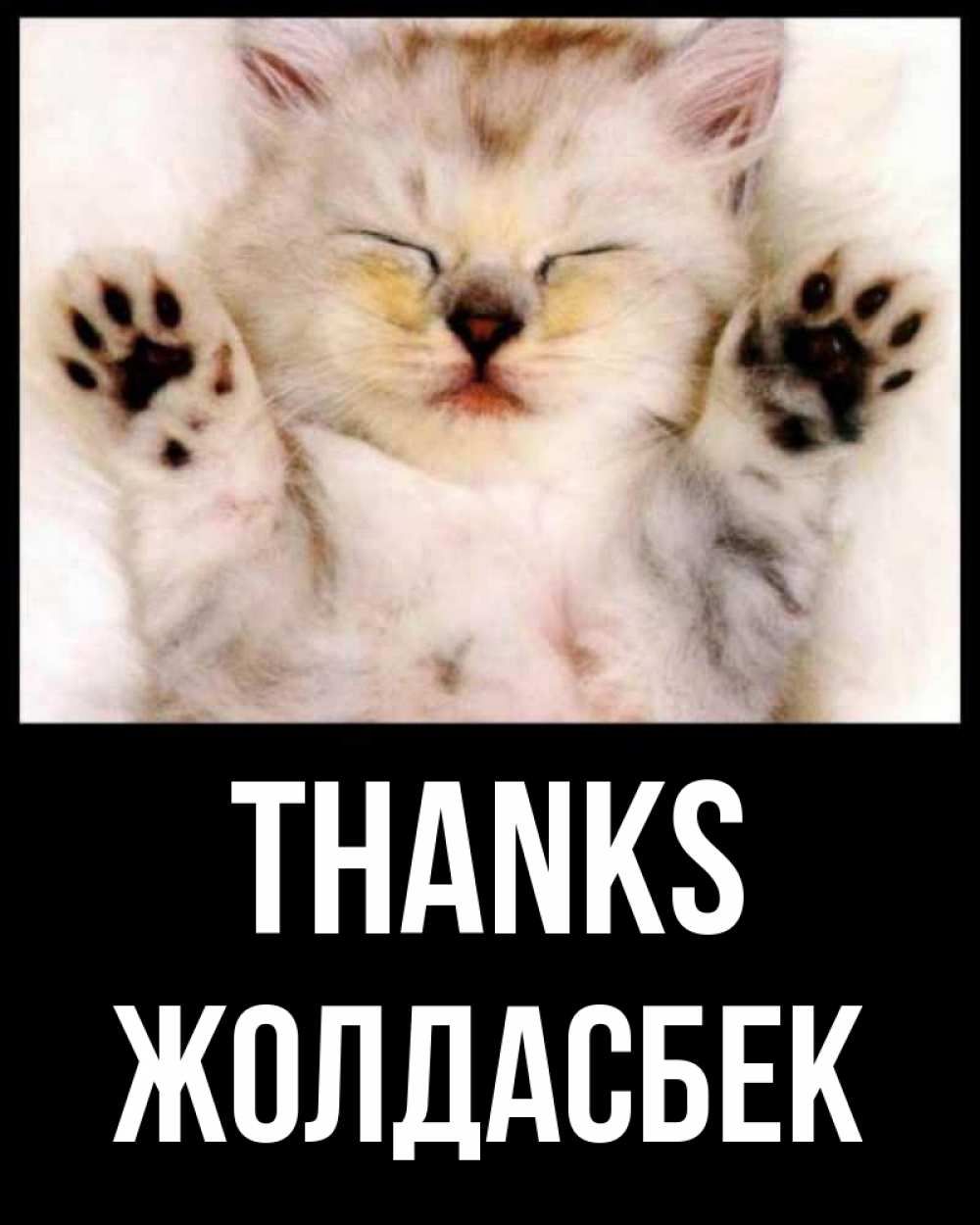 Greetings card с именем, Жолдасбек Thanks маленький котенок Greetings with text for free download 