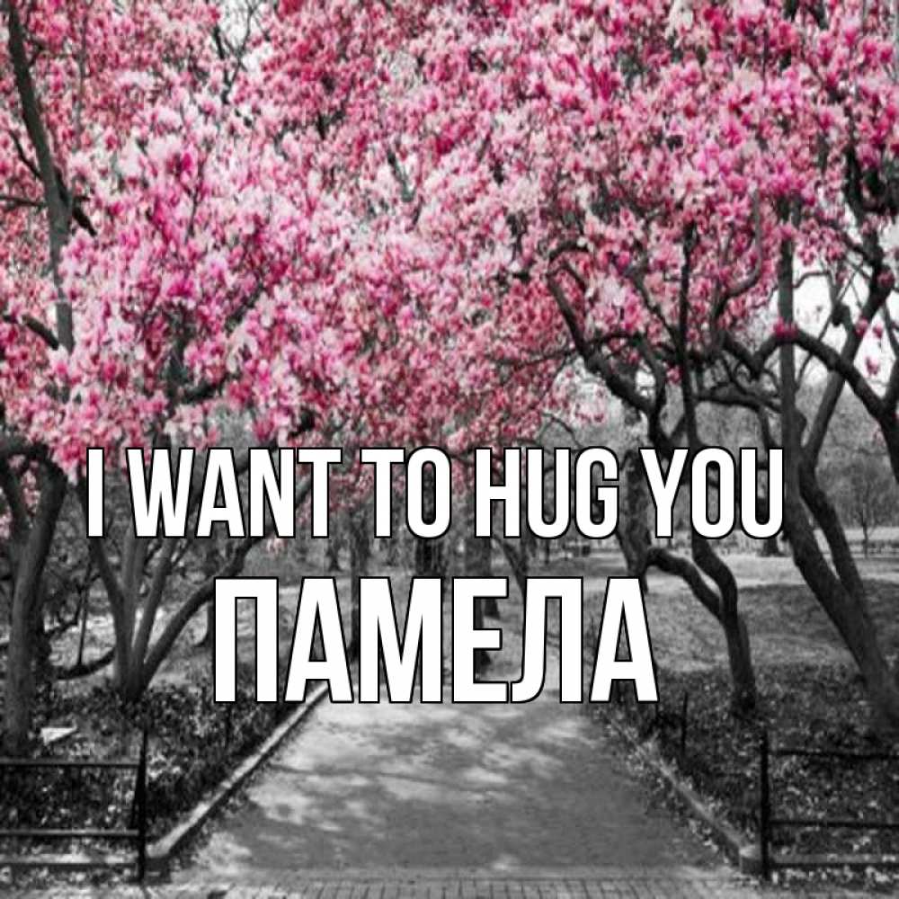 Greetings card с именем, Памела I want to hug you обработанное фото Greetings with text for free download 