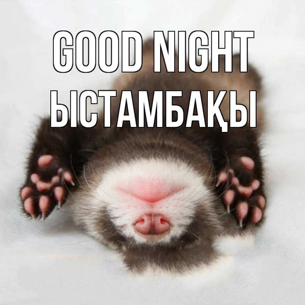 Greetings card с именем, ЫСТАМБАҚЫ Good night зверек Greetings with text for free download 
