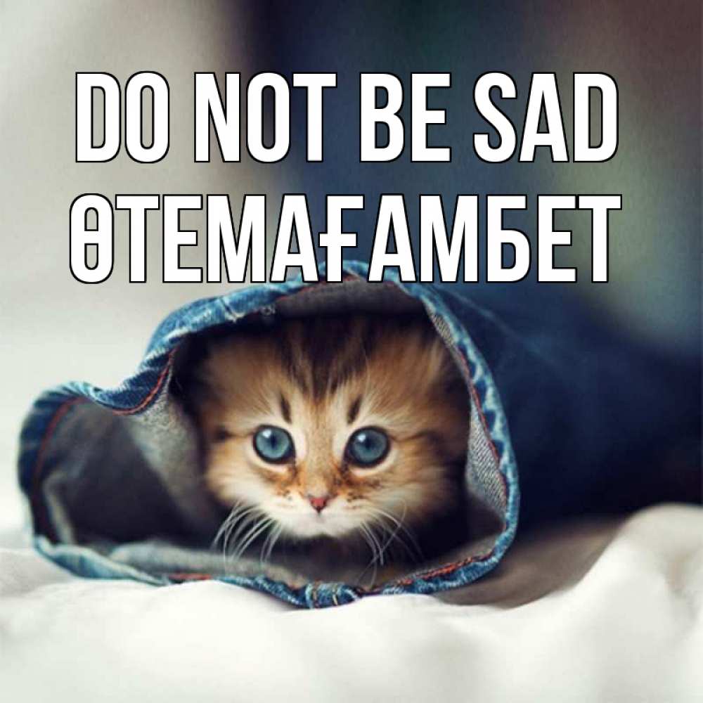 Greetings card с именем, ӨТЕМАҒАМБЕТ Do not be sad кот в одежде Greetings with text for free download 