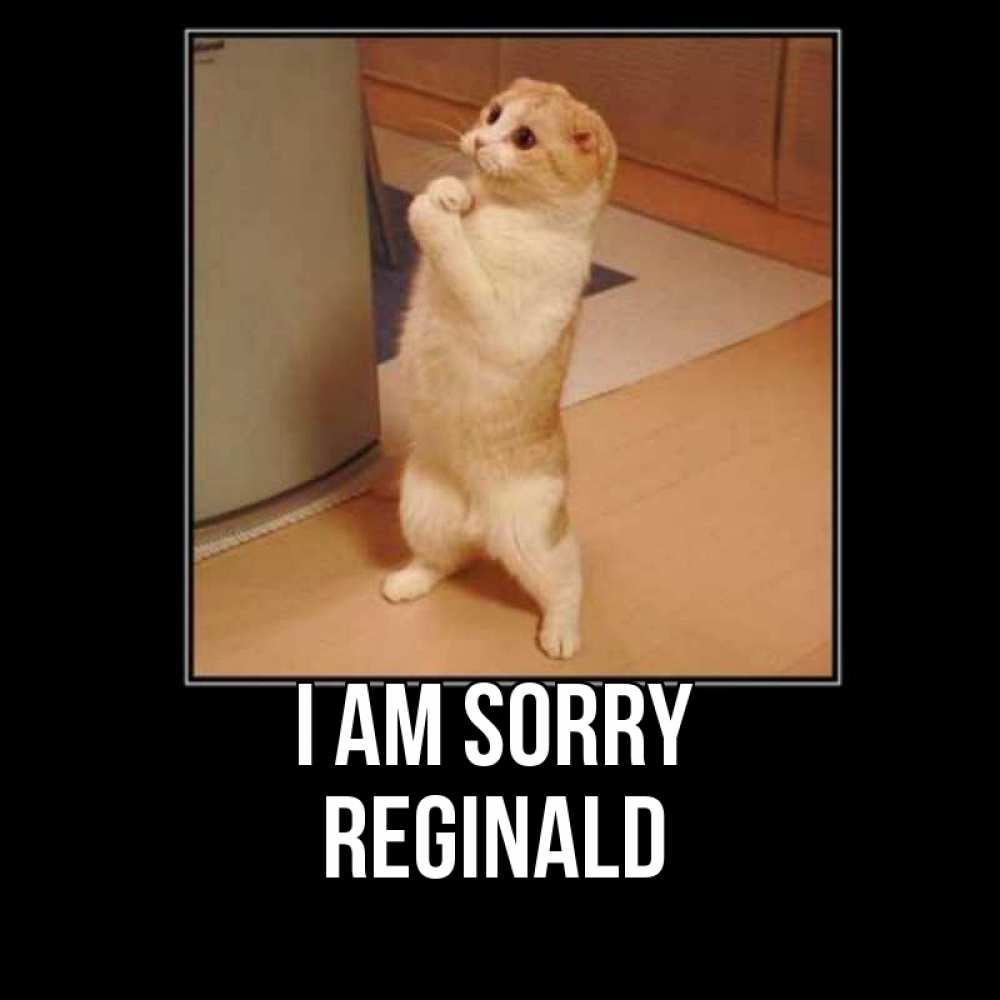 Greetings card с именем, Reginald I am sorry открытка с милым несчастным котиком просящим прощения Greetings with text for free download 
