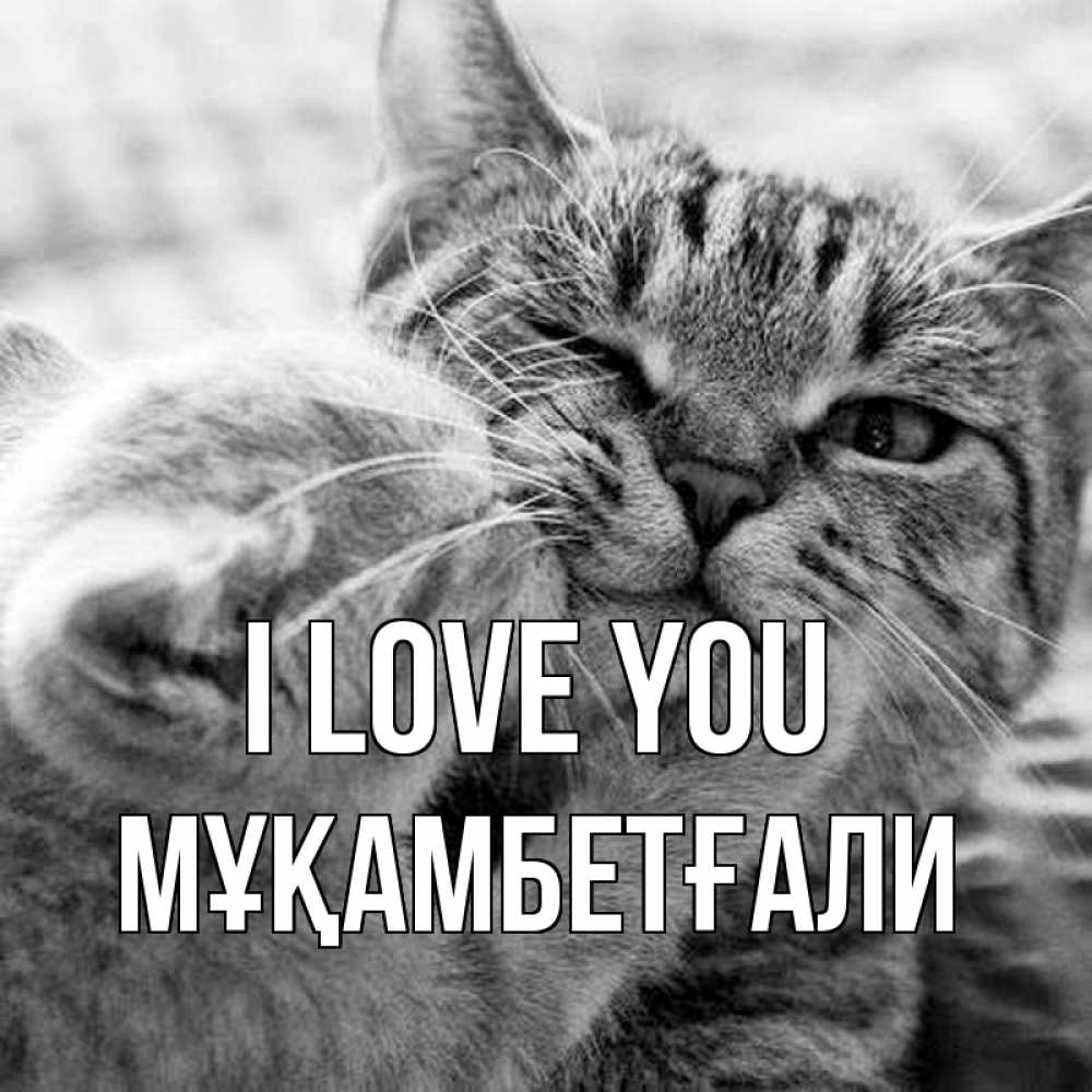 Greetings card с именем, Мұқамбетғали I love you коты Greetings with text for free download 