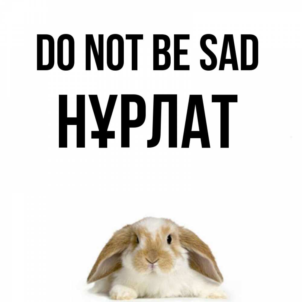 Greetings card с именем, НҰРЛАТ Do not be sad коричнево белый заяц с большими ушками Greetings with text for free download 