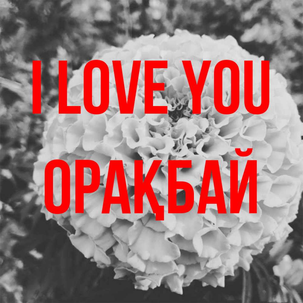 Greetings card с именем, ОРАҚБАЙ I love you подпись Greetings with text for free download 