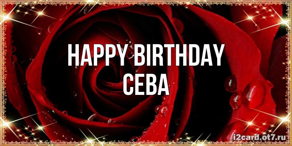 Greetings card с именем, Сева Happy Birthday цветок в росе на день рождения Greetings with text for free download 