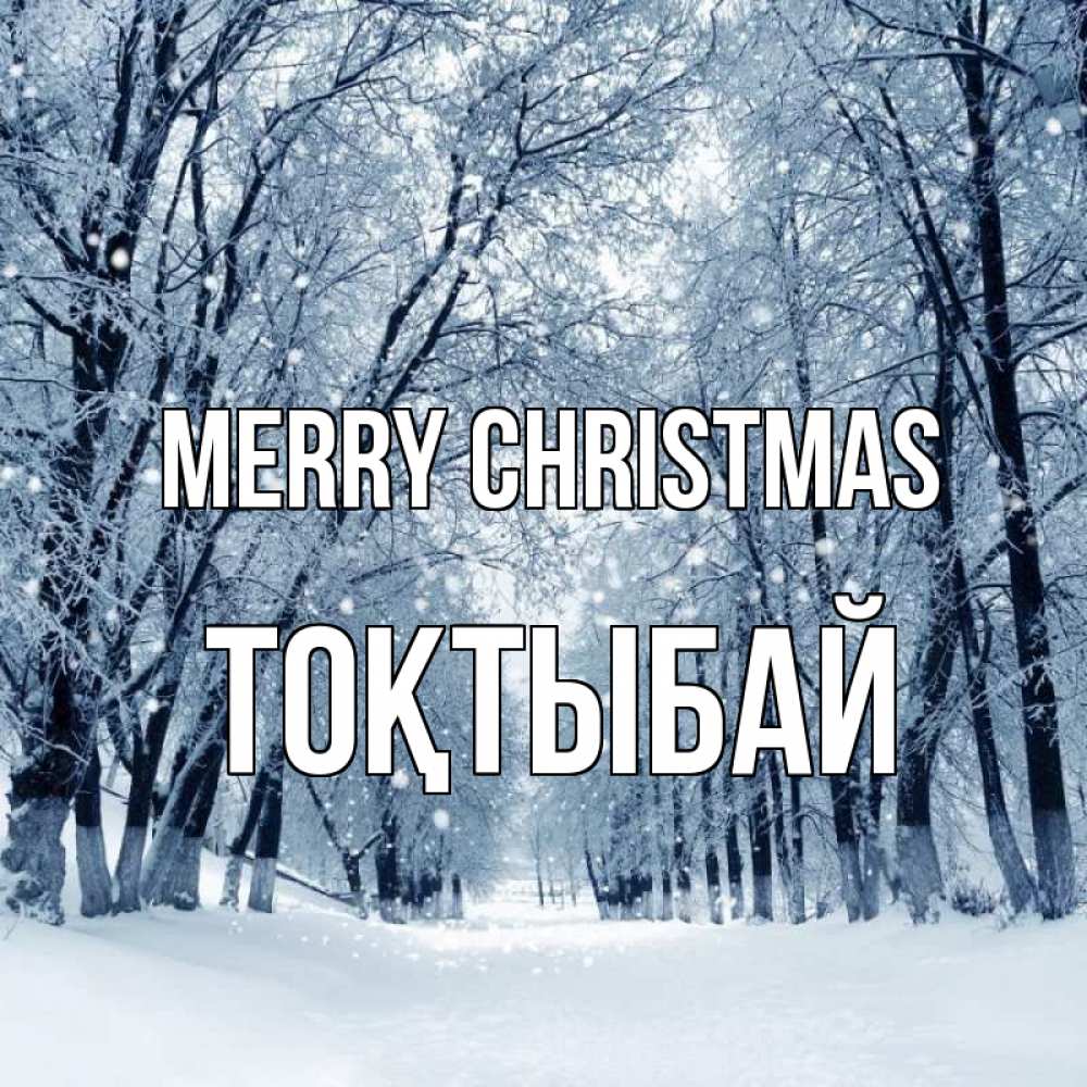 Greetings card с именем, ТОҚТЫБАЙ Merry Christmas снег, лес, парк Greetings with text for free download 