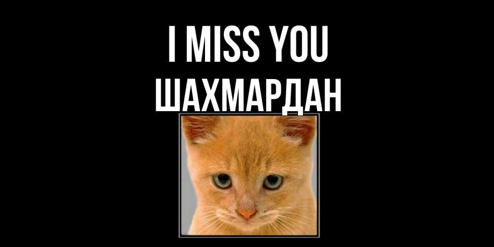 Greetings card с именем, ШАХМАРДАН I miss you открытки рыжий котенок скучает по тебе Greetings with text for free download 