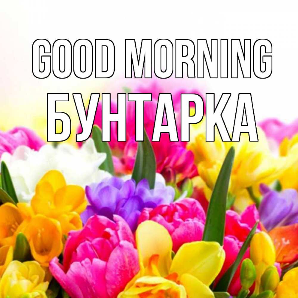 Greetings card с именем, Бунтарка Good morning создать открытку со свое подписью Greetings with text for free download 