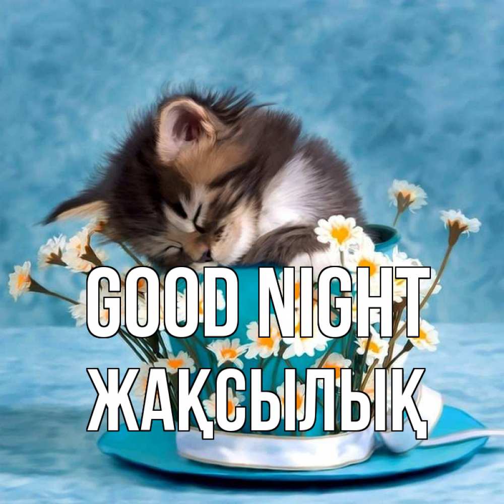 Greetings card с именем, Жақсылық Good night котенок спит в кружке с блюдцем Greetings with text for free download 