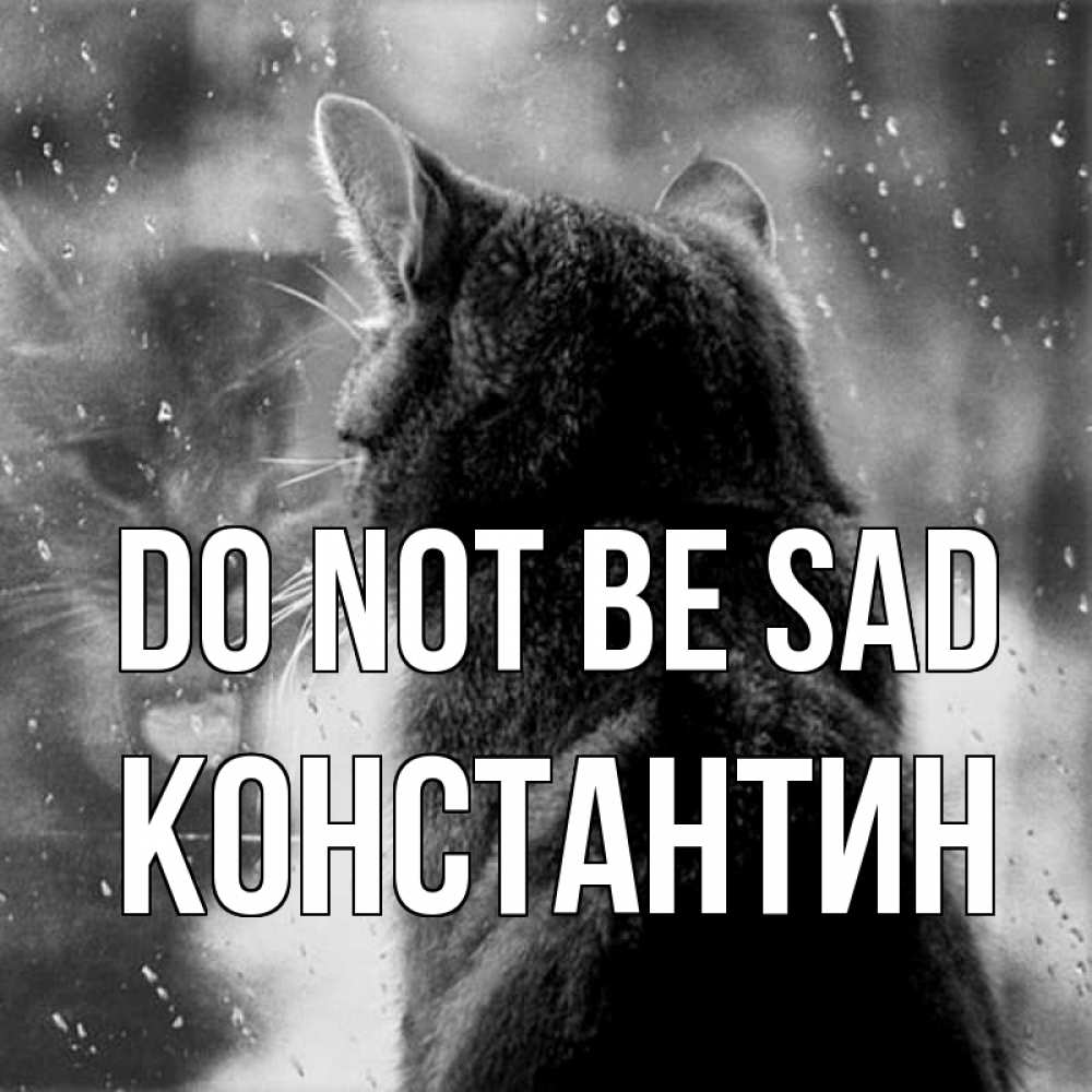 Greetings card с именем, Константин Do not be sad отражение кота 1 Greetings with text for free download 