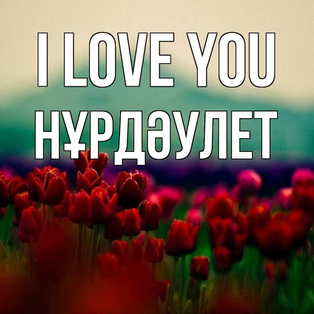 Greetings card с именем, НҰРДӘУЛЕТ I love you тюльпаны 4 Greetings with text for free download 