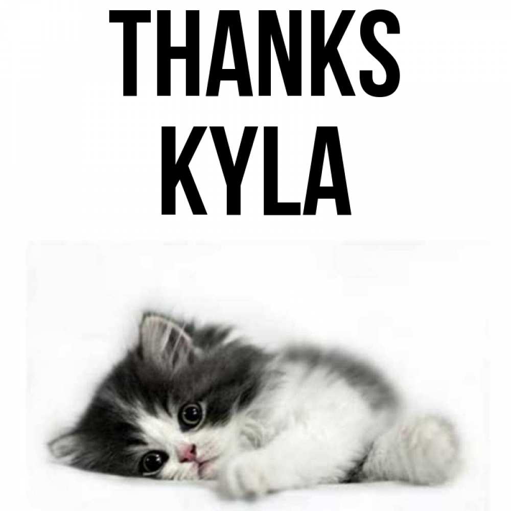 Greetings card с именем, Kyla Thanks черный и белый кот Greetings with text for free download 