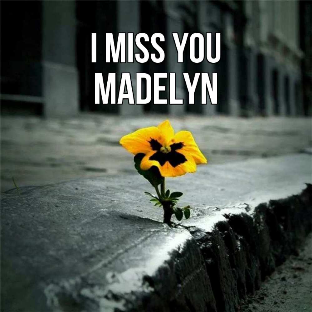 Greetings card с именем, Madelyn I miss you надеюсь будет лучше Greetings with text for free download 