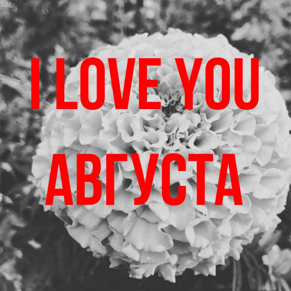 Greetings card с именем, Августа I love you подпись Greetings with text for free download 