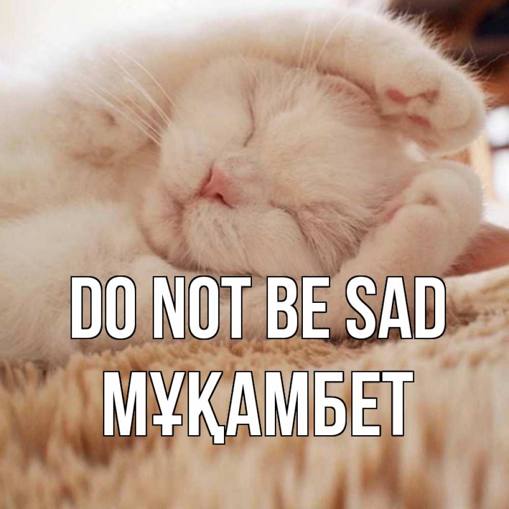 Greetings card с именем, МҰҚАМБЕТ Do not be sad белый кот Greetings with text for free download 