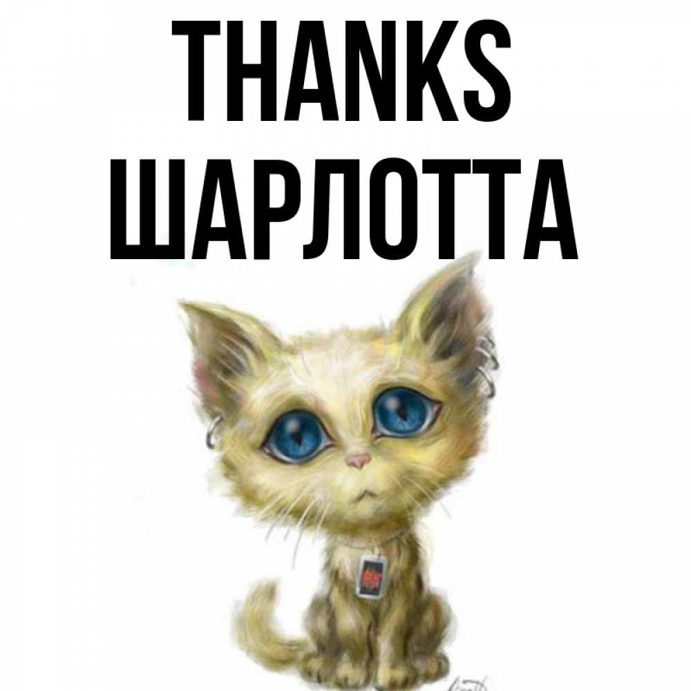 Greetings card с именем, Шарлотта Thanks рисованный кот благодарит вас Greetings with text for free download 