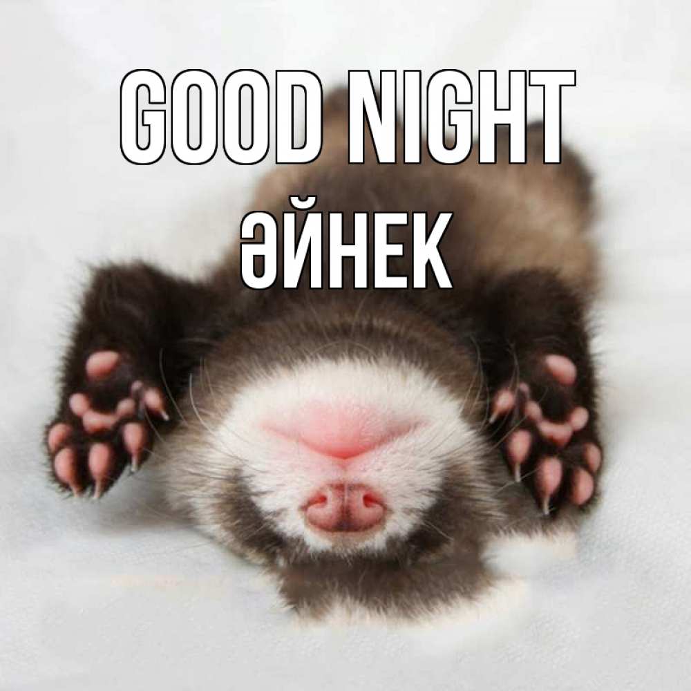 Greetings card с именем, ӘЙНЕК Good night зверек Greetings with text for free download 