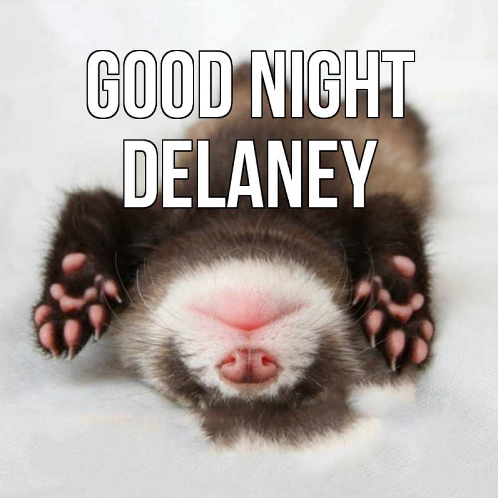 Greetings card с именем, Delaney Good night зверек Greetings with text for free download 