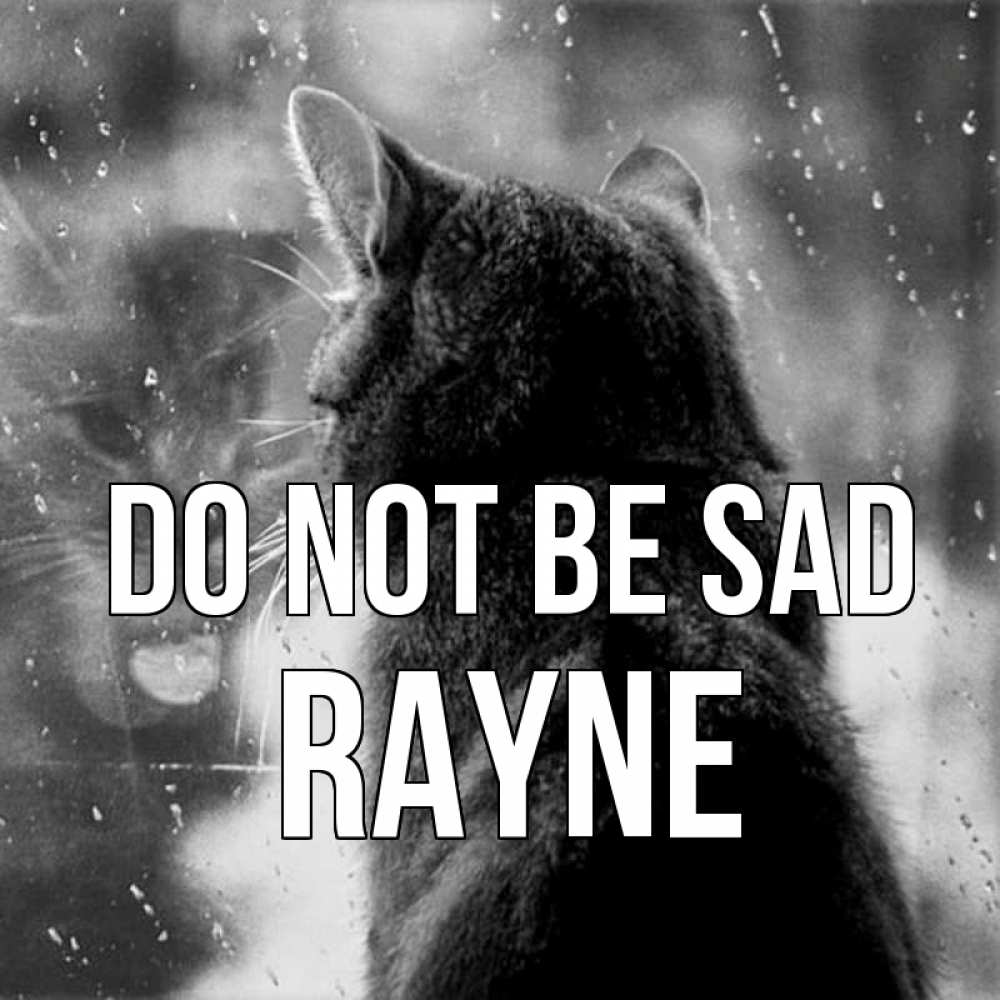 Greetings card с именем, Rayne Do not be sad отражение кота 1 Greetings with text for free download 