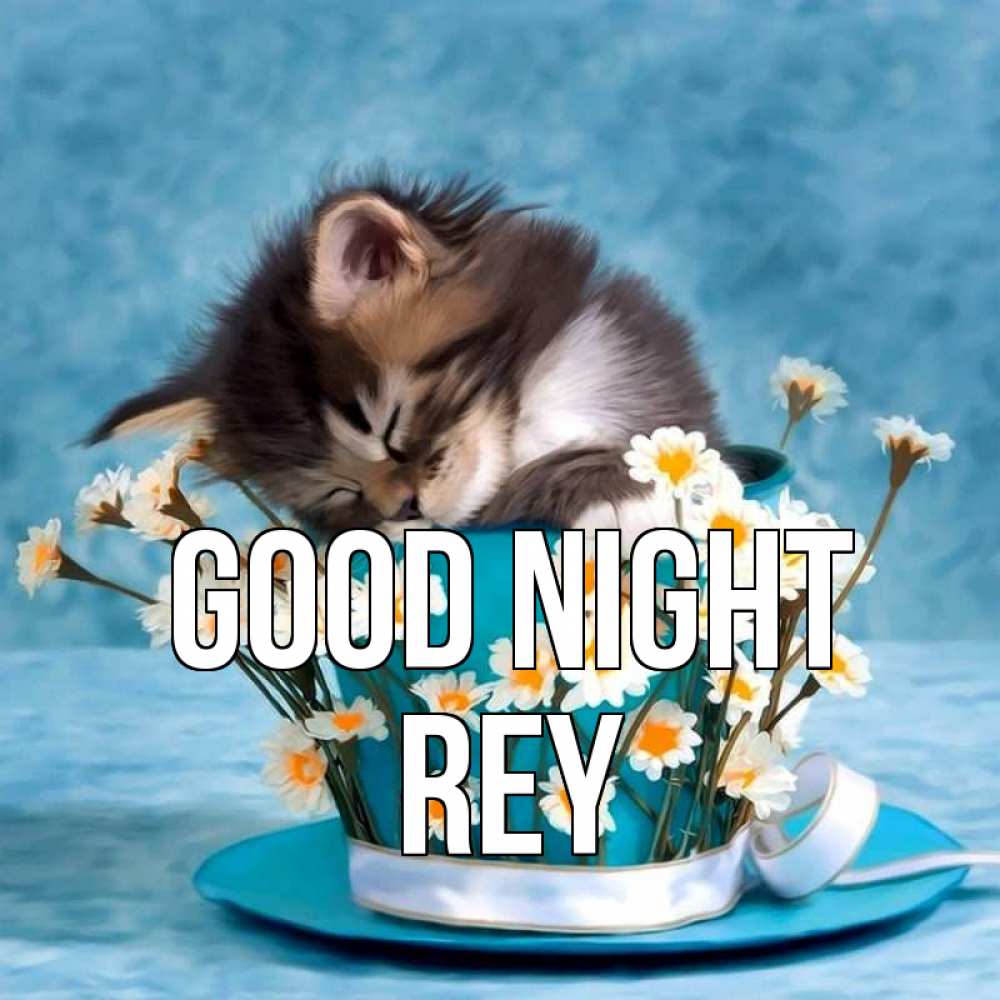 Greetings card с именем, Rey Good night котенок спит в кружке с блюдцем Greetings with text for free download 