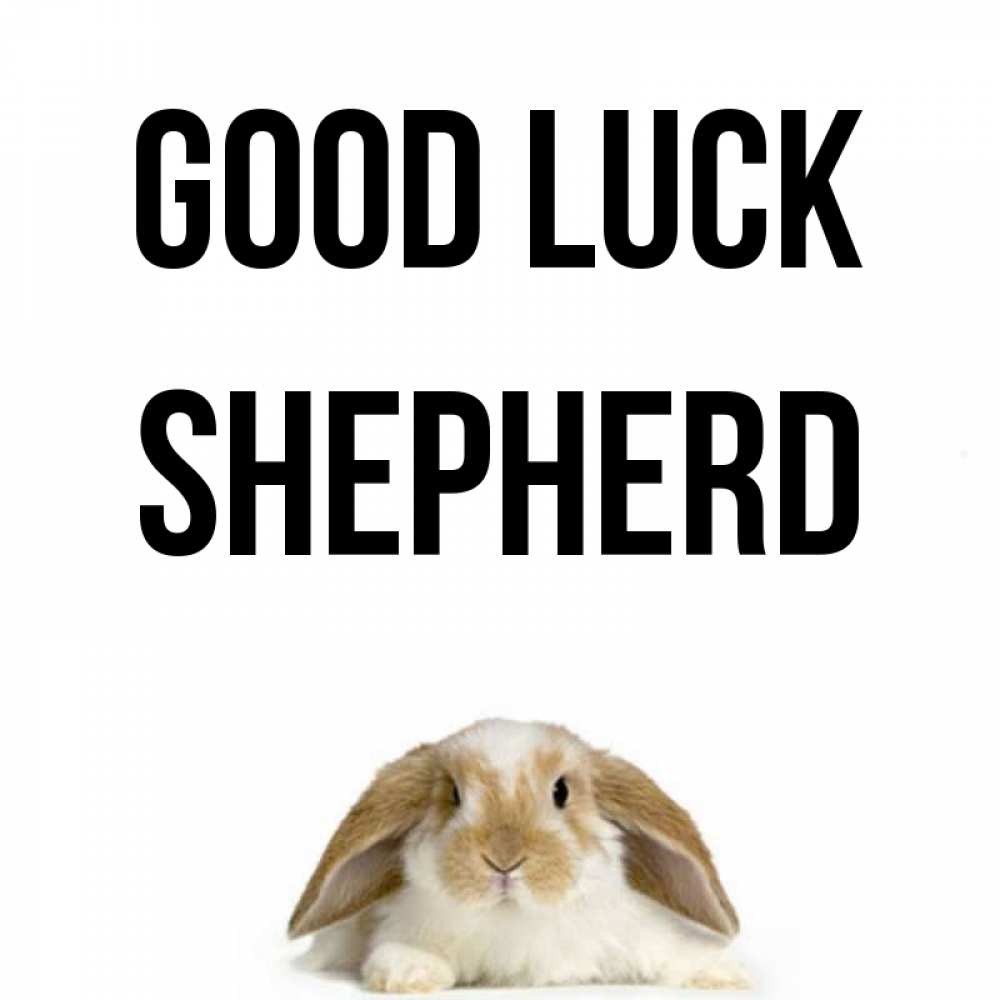 Greetings card с именем, Shepherd Good luck открытки с произвольным текстом который можно вставить в открытку и создать ее самостоятельно бесплатно онлайн Greetings with text for free download 