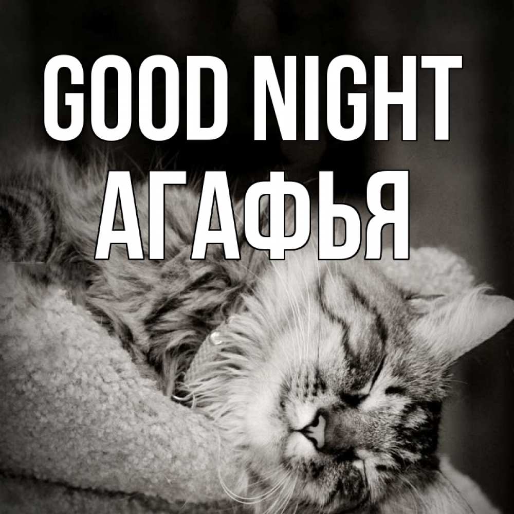 Greetings card с именем, Агафья Good night котярик пушистый Greetings with text for free download 