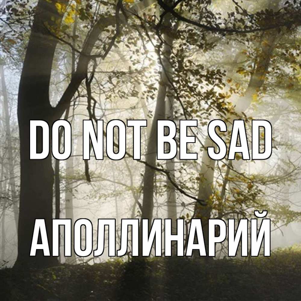 Greetings card с именем, Аполлинарий Do not be sad лес и свет Greetings with text for free download 