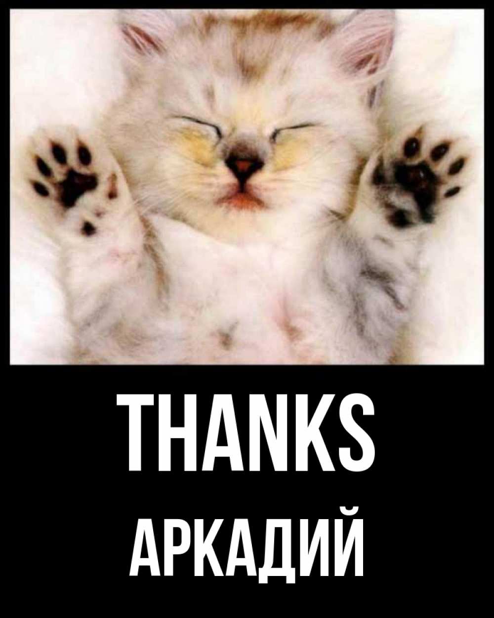 Greetings card с именем, Аркадий Thanks маленький котенок Greetings with text for free download 