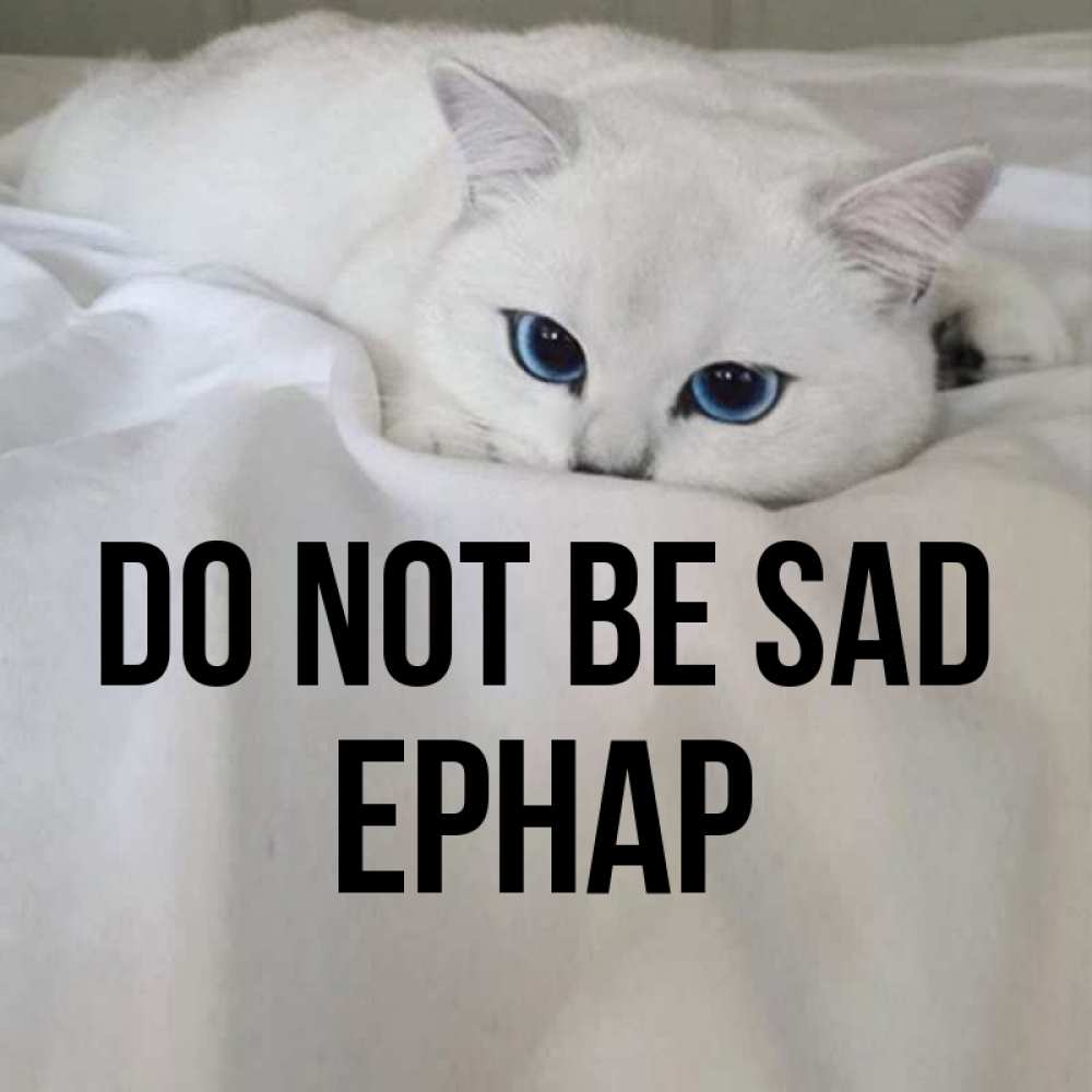 Greetings card с именем, Ернар Do not be sad Голубоглазая кошка Greetings with text for free download 
