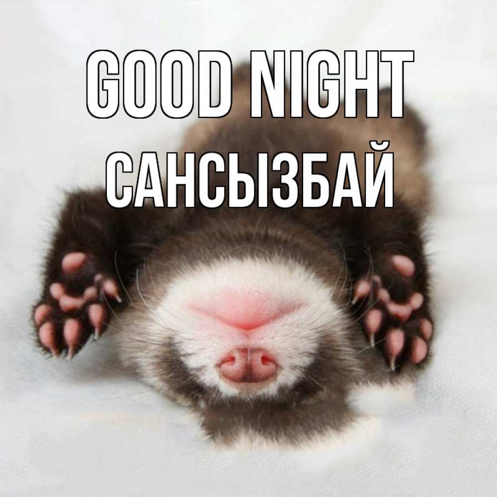 Greetings card с именем, САНСЫЗБАЙ Good night зверек Greetings with text for free download 
