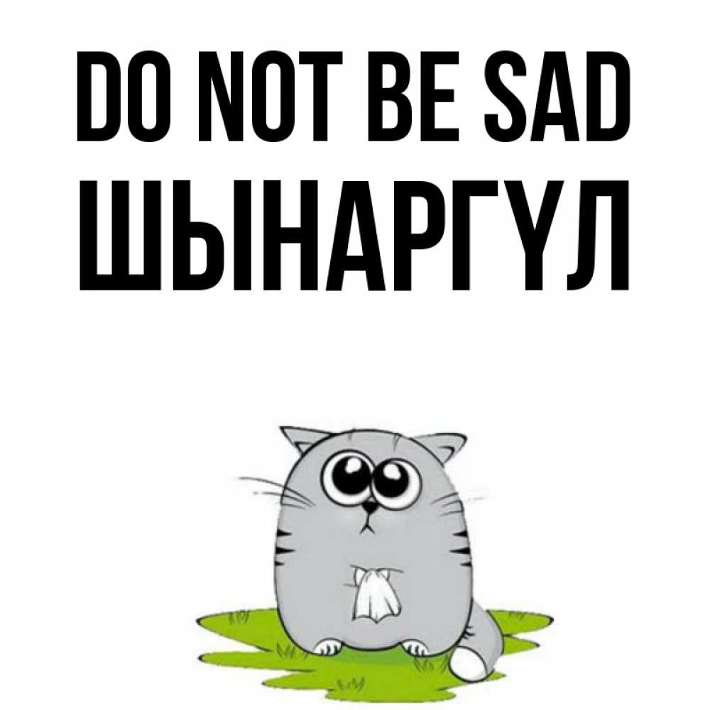 Greetings card с именем, ШЫНАРГҮЛ Do not be sad грустный котяра Greetings with text for free download 