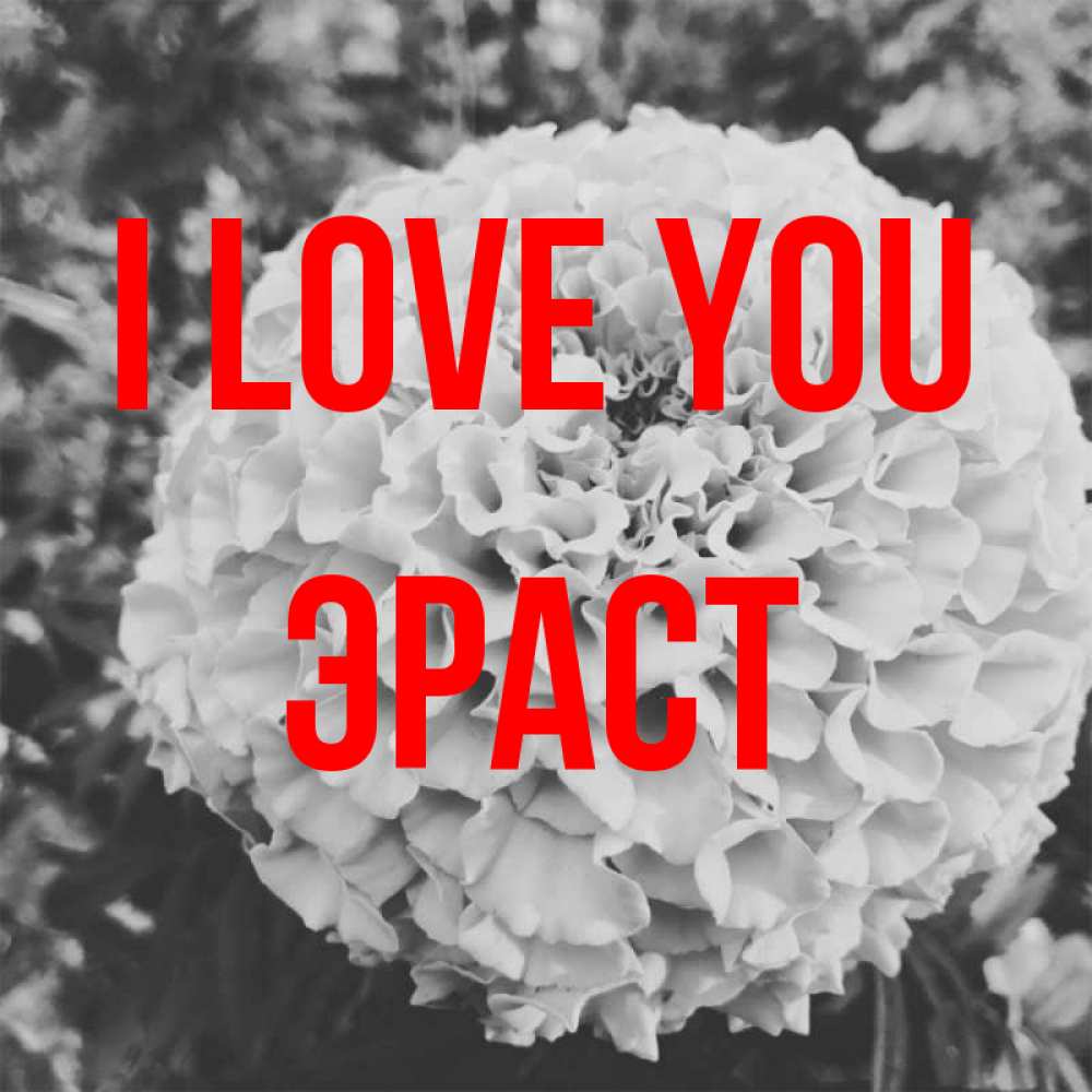 Greetings card с именем, Эраст I love you подпись Greetings with text for free download 