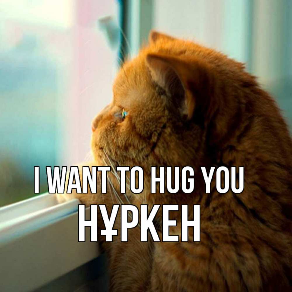 Greetings card с именем, Нұркен I want to hug you большой огромный рыжий котяра Greetings with text for free download 