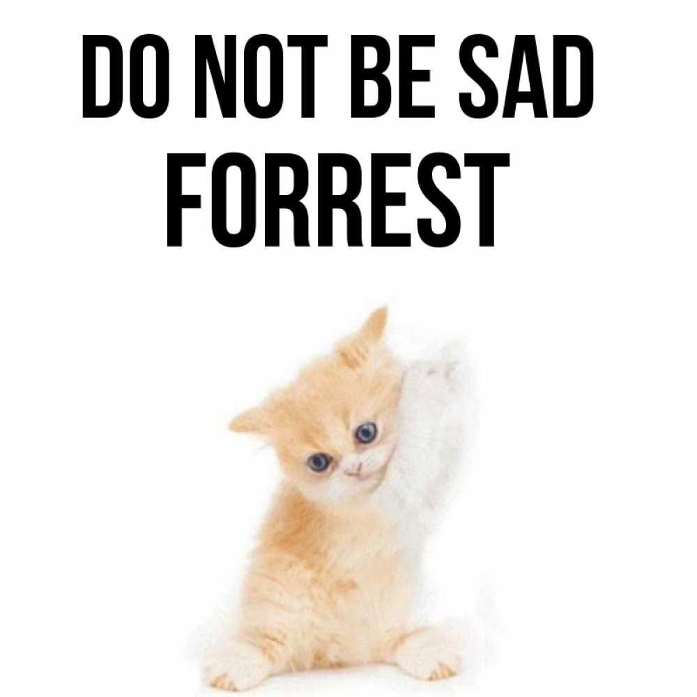 Greetings card с именем, Forrest Do not be sad просящий кот Greetings with text for free download 